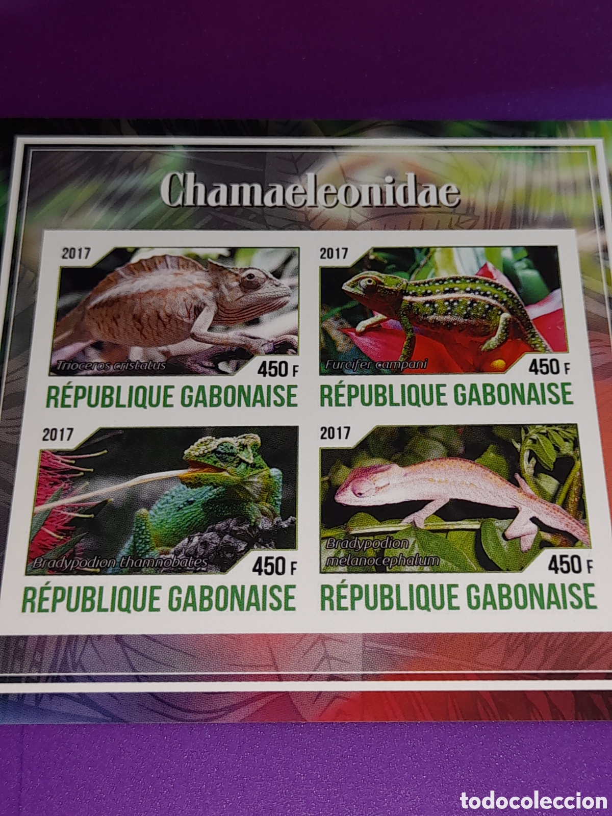 Sellos: HB Gabon nuevo/sd 2017. Camale&oacute;n. Animales salvajes. Reptiles. Naturaleza.