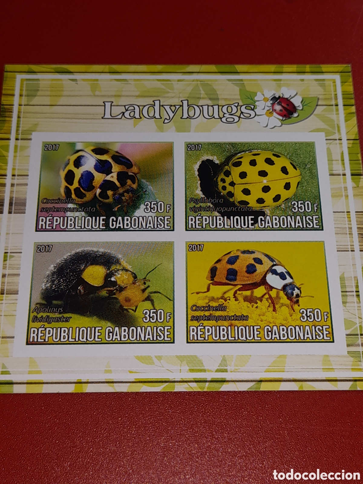 Sellos: HB Gabon nuevo/sd 2017. Mariquita. Escarabajo. Insectos. Animales. Fauna. Naturaleza
