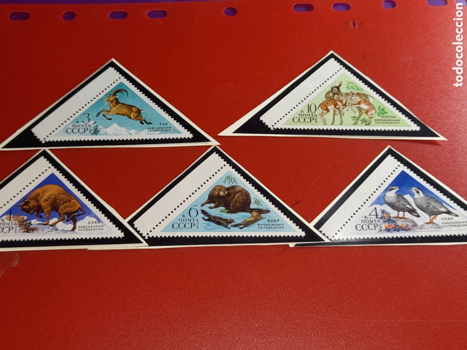 Sellos: Sello Rusia (URSS, CCCP) nuevo 1973. Fauna. Animales salvajes. Cabra. Castor. B&uacute;falo. Aves. Perdiz.