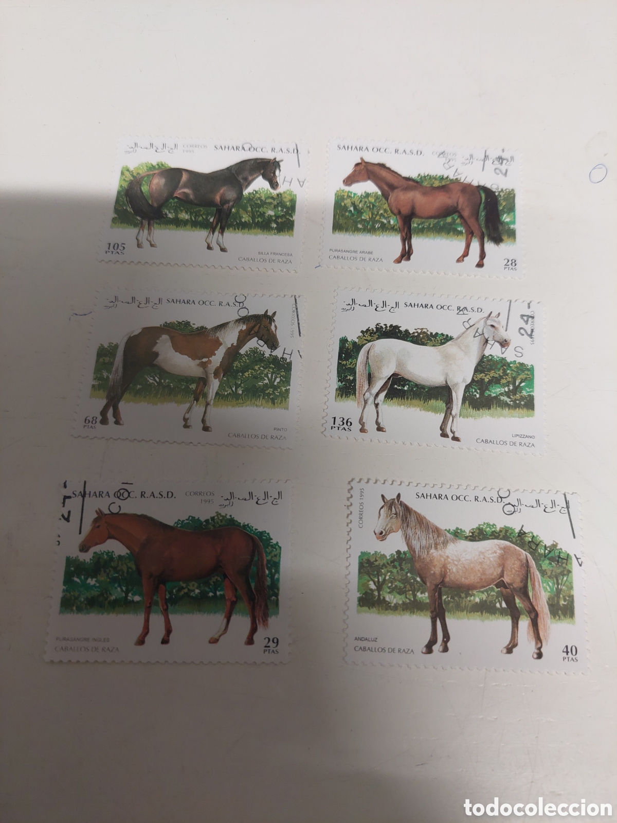 Sellos: S&Aacute;HARA OCCIDENTAL CABALLOS RAZA FAUNA1995