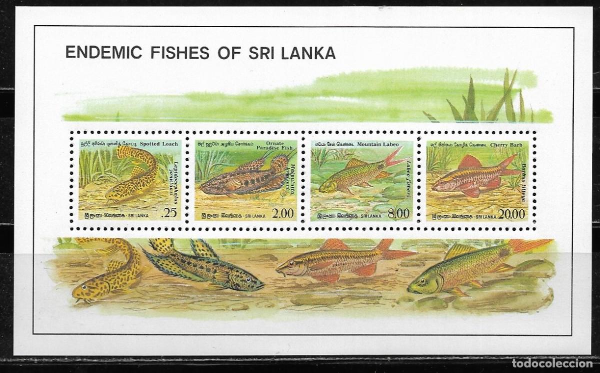 Sellos: SRI LANKA 1990, HOJA BLOQUE Ivert 91 - FAUNA - PECES. MNH.