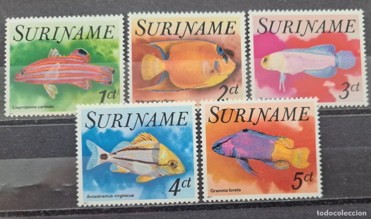 Sellos: Serie completa de sellos de Surinam 1977: Peces tropicales (II)