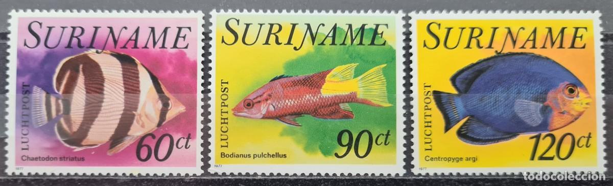 Sellos: Serie completa de sellos a&eacute;reos de Surinam 1977: Peces tropicales (II)