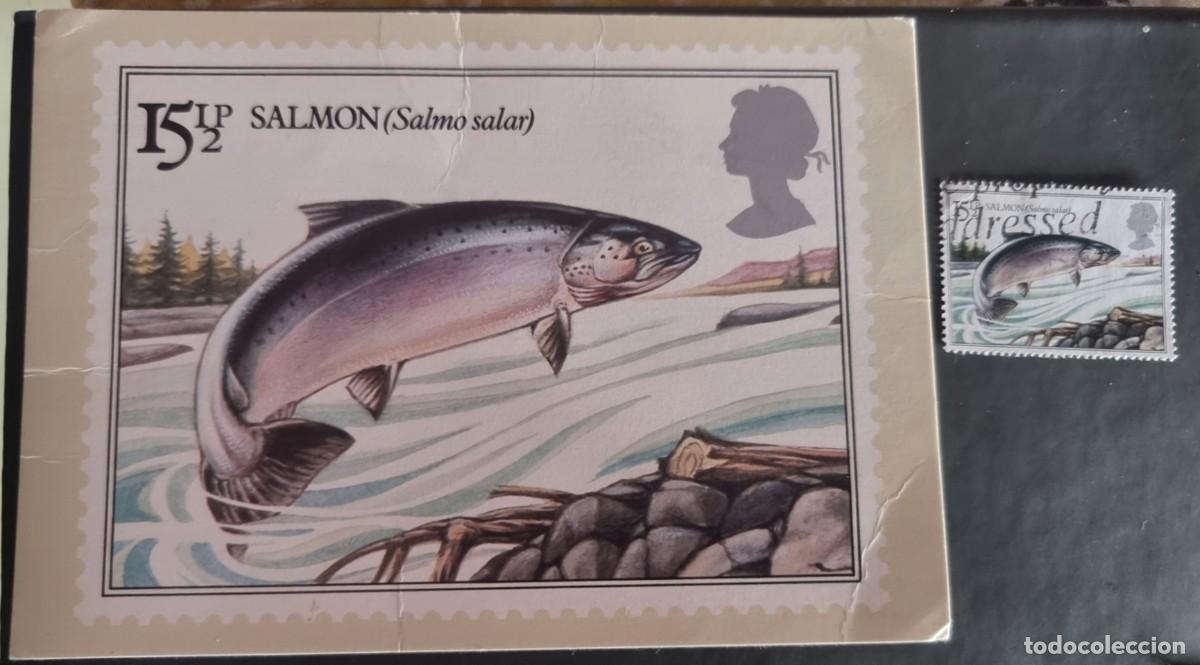 Sellos: SELLO USADO GRAN BRETA&Ntilde;A 1983 CON SU POSTAL FAUNA PECES SALMON - VER FOTOS
