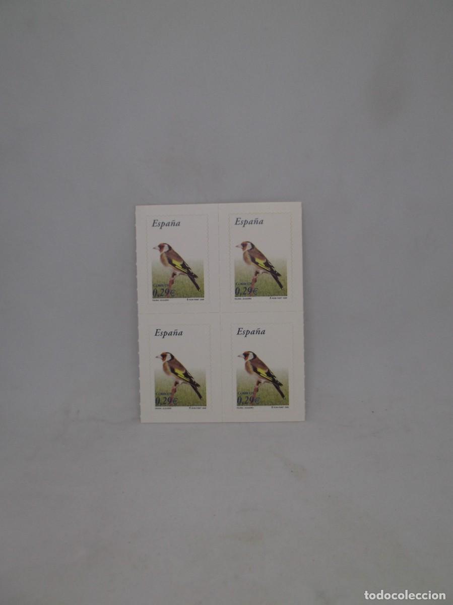 Sellos: Espa&ntilde;a 2006 Fauna:Jilguero.Bloque de cuatro nuevos