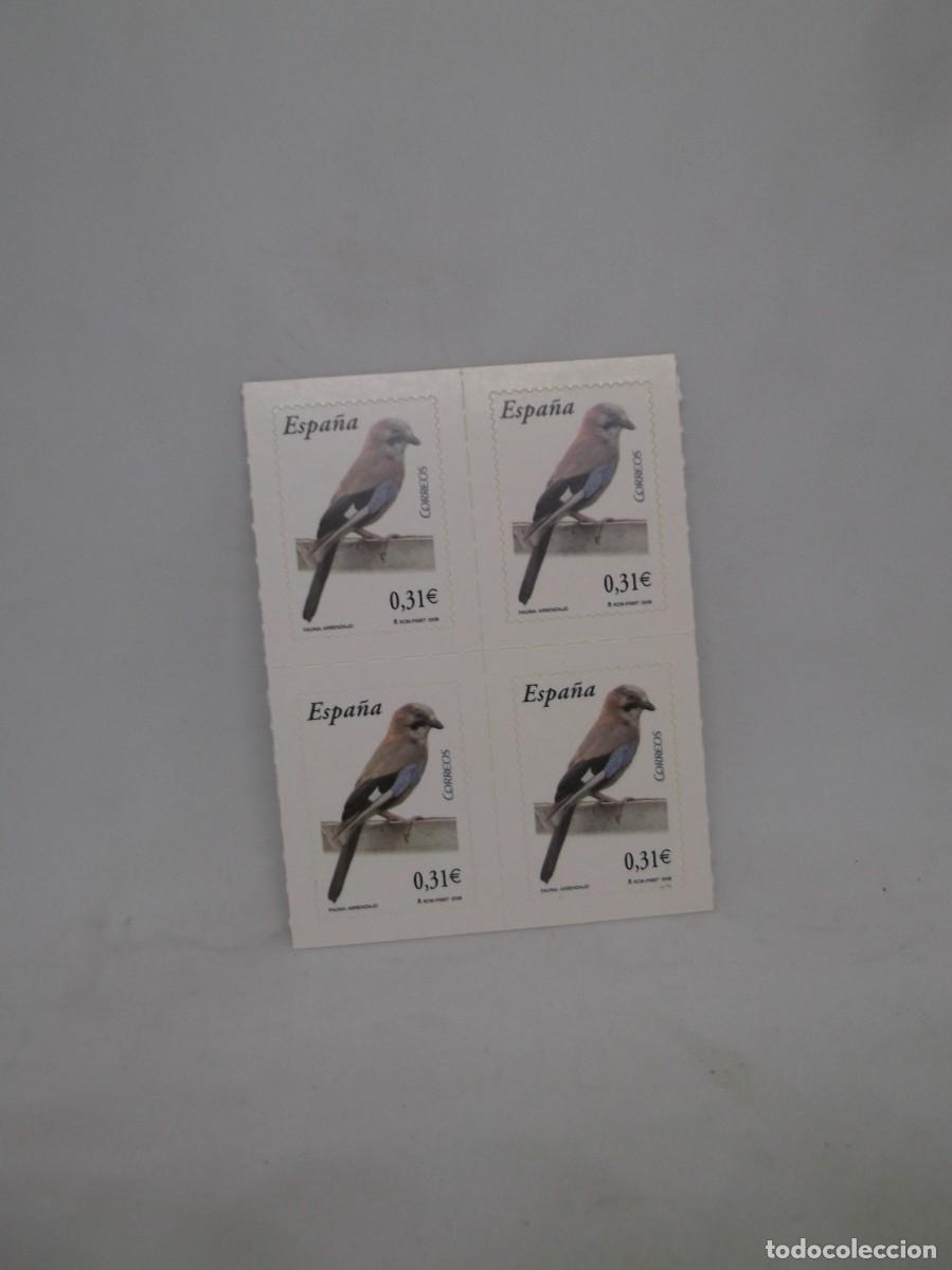 Sellos: Espa&ntilde;a 2008 Fauna:Arrendajo.Bloque de cuatro nuevos