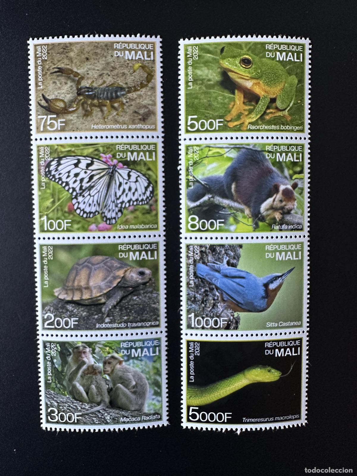 Sellos: Mali de mayo 2022? Fauna end&eacute;mica: India tortuga p&aacute;jaro serpiente rana mariposa