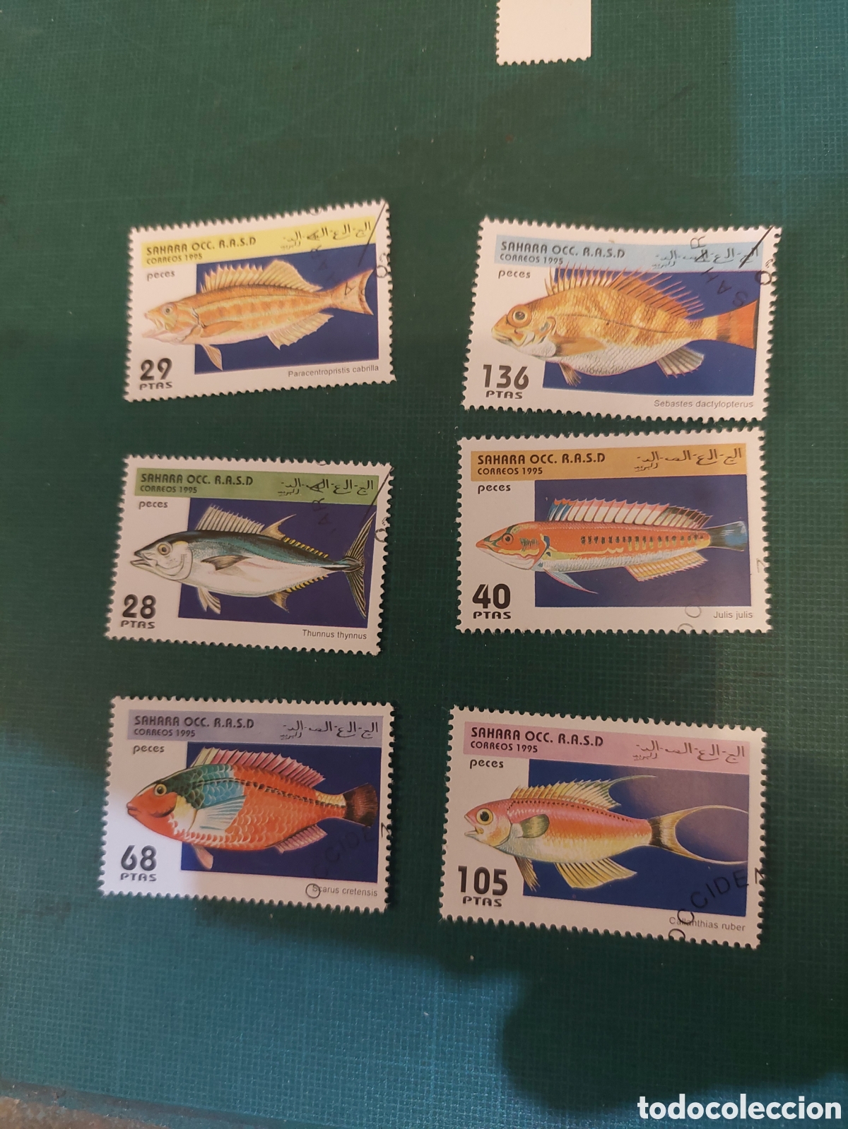 Sellos: S&Aacute;HARA OCCIDENTAL FAUNA PECES 1995 NATURALEZA