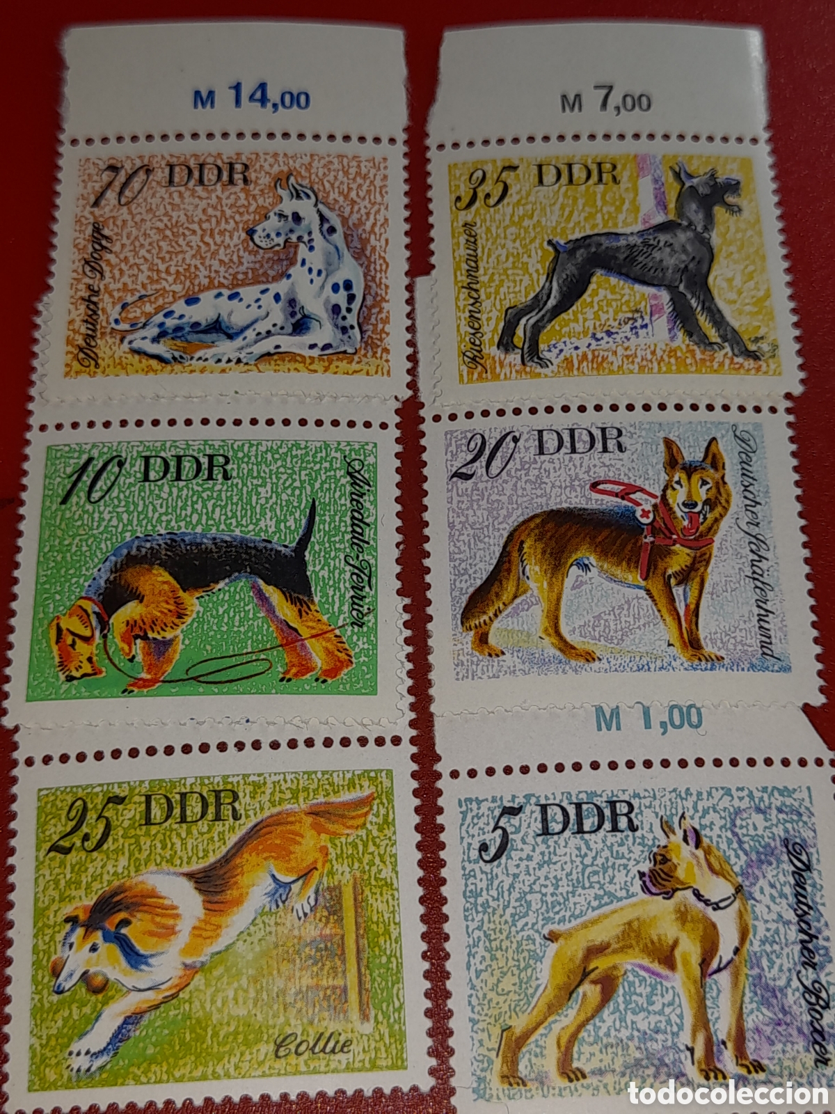 Sellos: Sello Alemania, DDR nuevo 1976. Perros. Animales dom&eacute;sticos. Fuana. Mam&iacute;feros. Dalmata.
