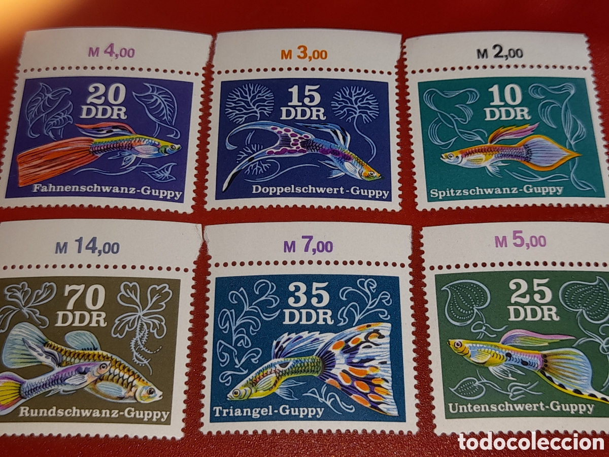 Sellos: Sello Alemania, DDR nuevo 1976. Acuario. Pescados. Peces. Guppy. Vida marina. Fauna. Animales domeat