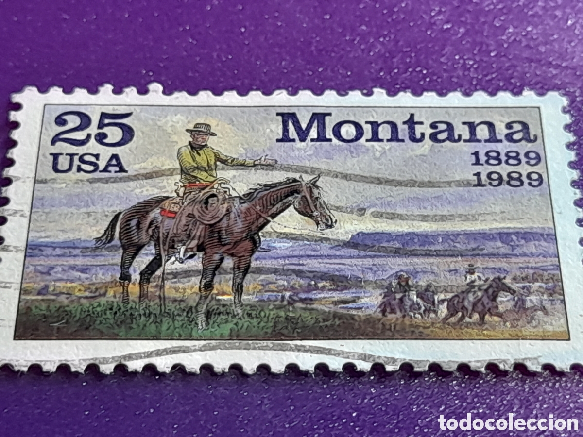 Sellos: Sello Estados Unidos mtdo/udo 1989. 100Aniv estado Montana. Jinete. Caballo. Vaquero. Naturaleza Ri