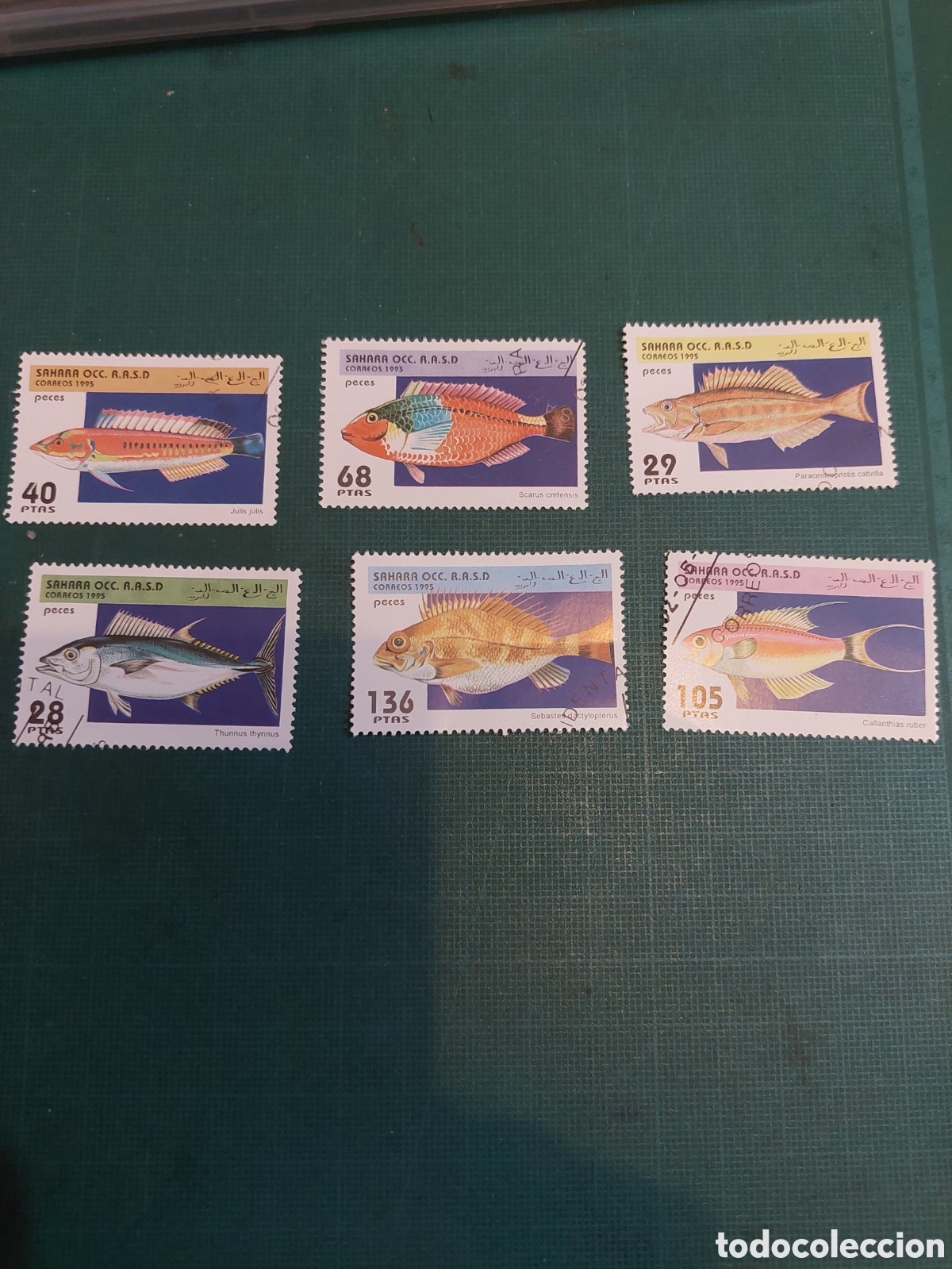 Sellos: 1995 S&Aacute;HARA OCCIDENTAL SERIE COMPLETA FAUNA PECES