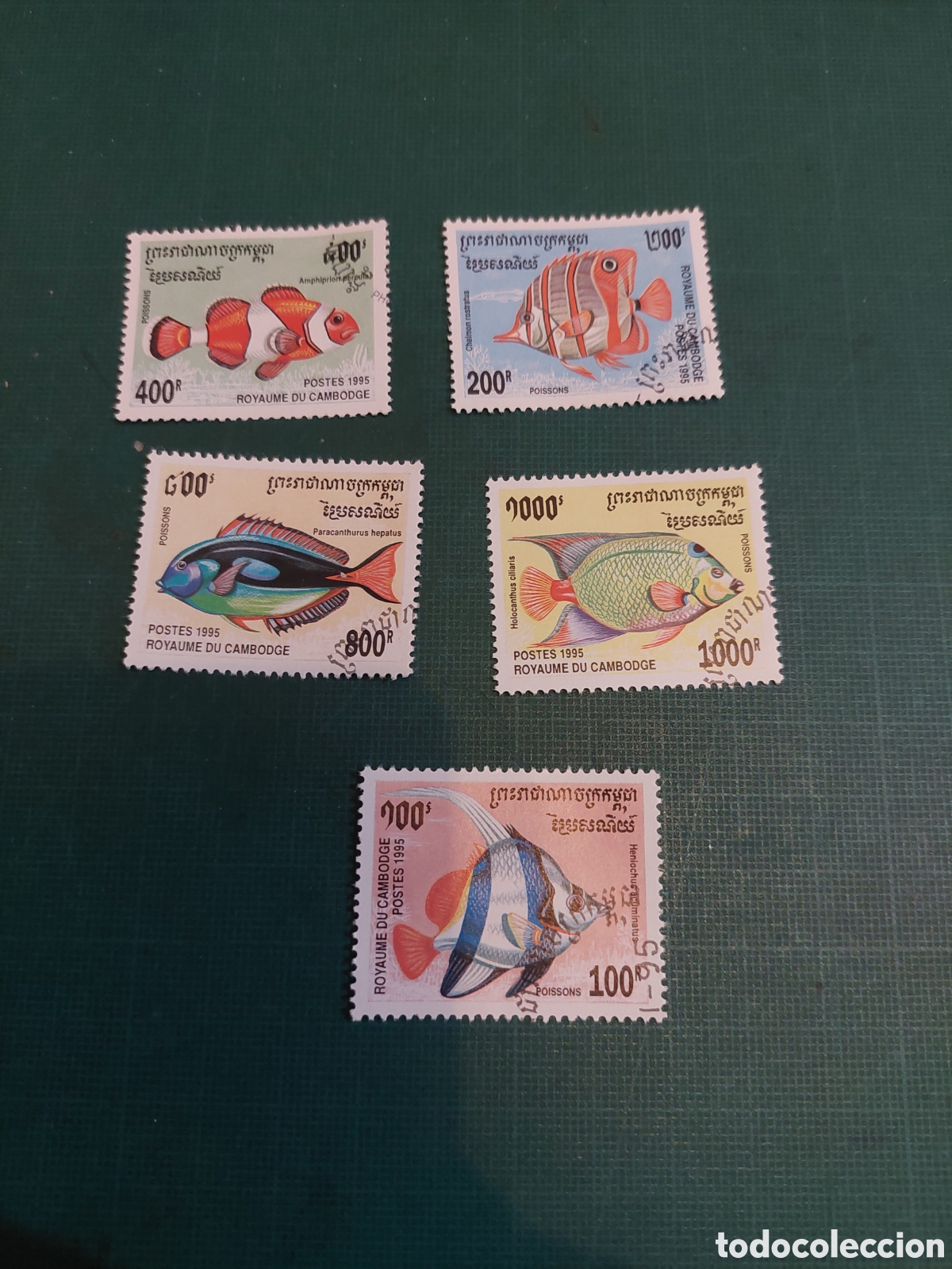 Sellos: 1995 CAMBOYA FAUNA PECES SERIE COMPLETA