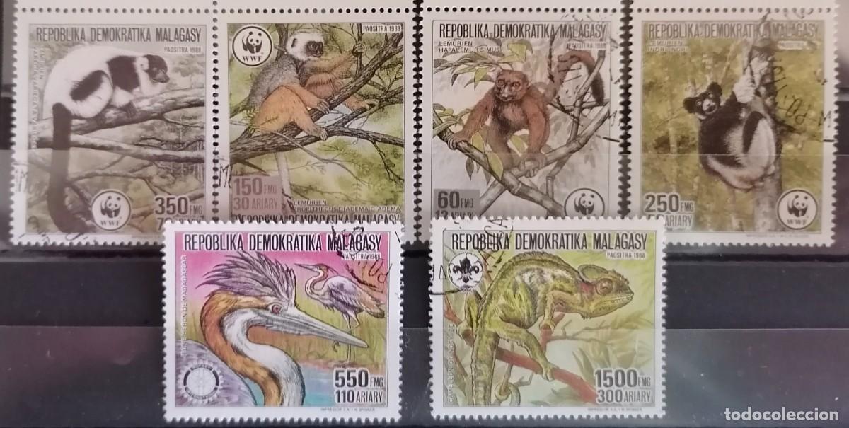 Sellos: MADAGASCAR 1988 - WWF / FAUNA 2 SERIES .