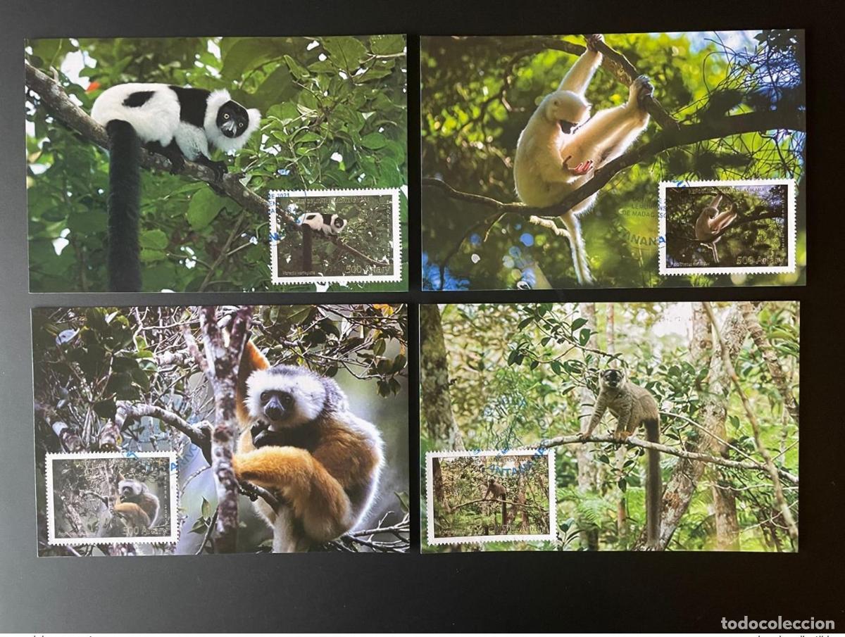 Sellos: Madagascar 2021 Mi. 2718 - 2721 Lemurians Fauna propithecus 4 Carta m&aacute;xima