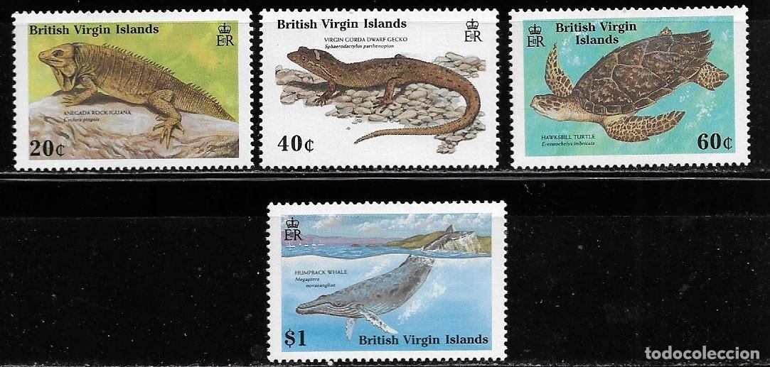 Sellos: ISLAS VIRGENES BRIT&Aacute;NICAS 1988 - SERIE COMPLETA 4 VALORES - FAUNA . MNH.