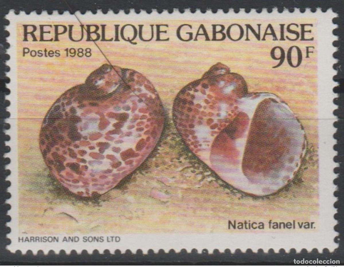 Sellos: Gab&oacute;n 1988 Mi. A1026 Conchas crust&aacute;ceos Natica fanel var. &iexcl;RARO!