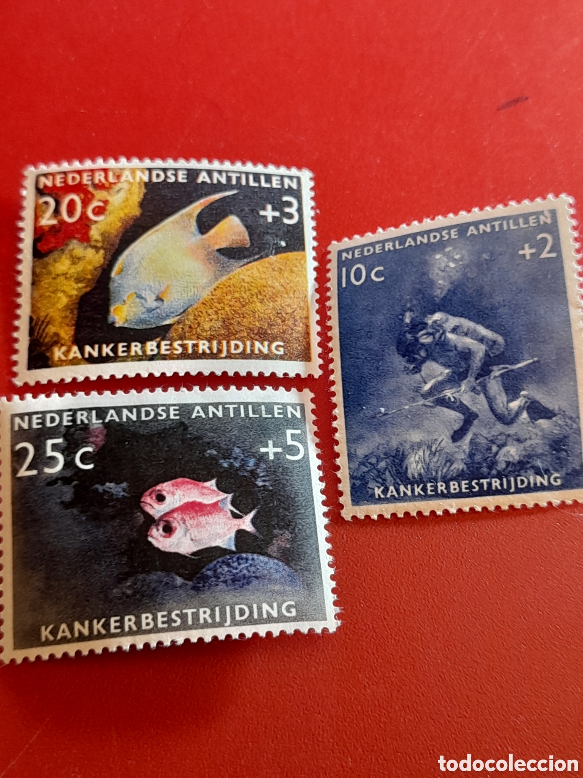 Sellos: Sello Antillas Holandesas nuevo 1960. Peces. Fauna, vida marina. Pesca. Submarinismo. Coral. Coral