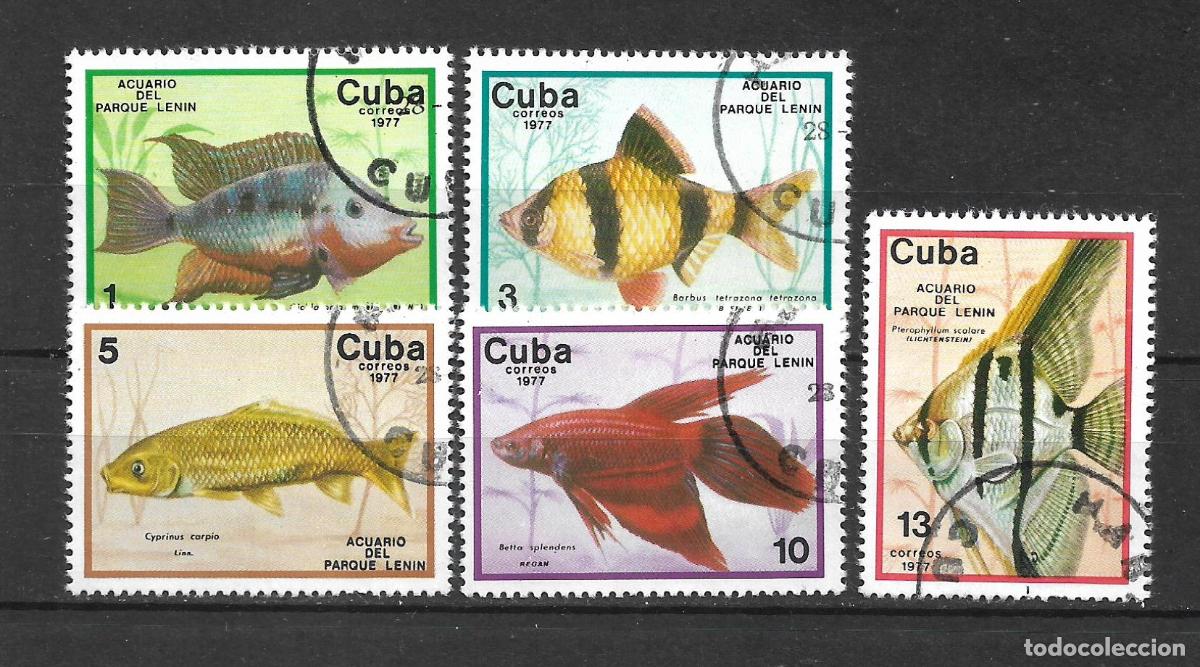 Sellos: cuba 1977 sello usados fauna peces - 22/3