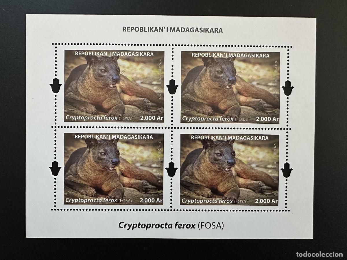 Sellos: Madagascar 2024/2025 Mi. &iquest;Bl.? Fauna felina de S/S Cryptoprocta ferox Fosa