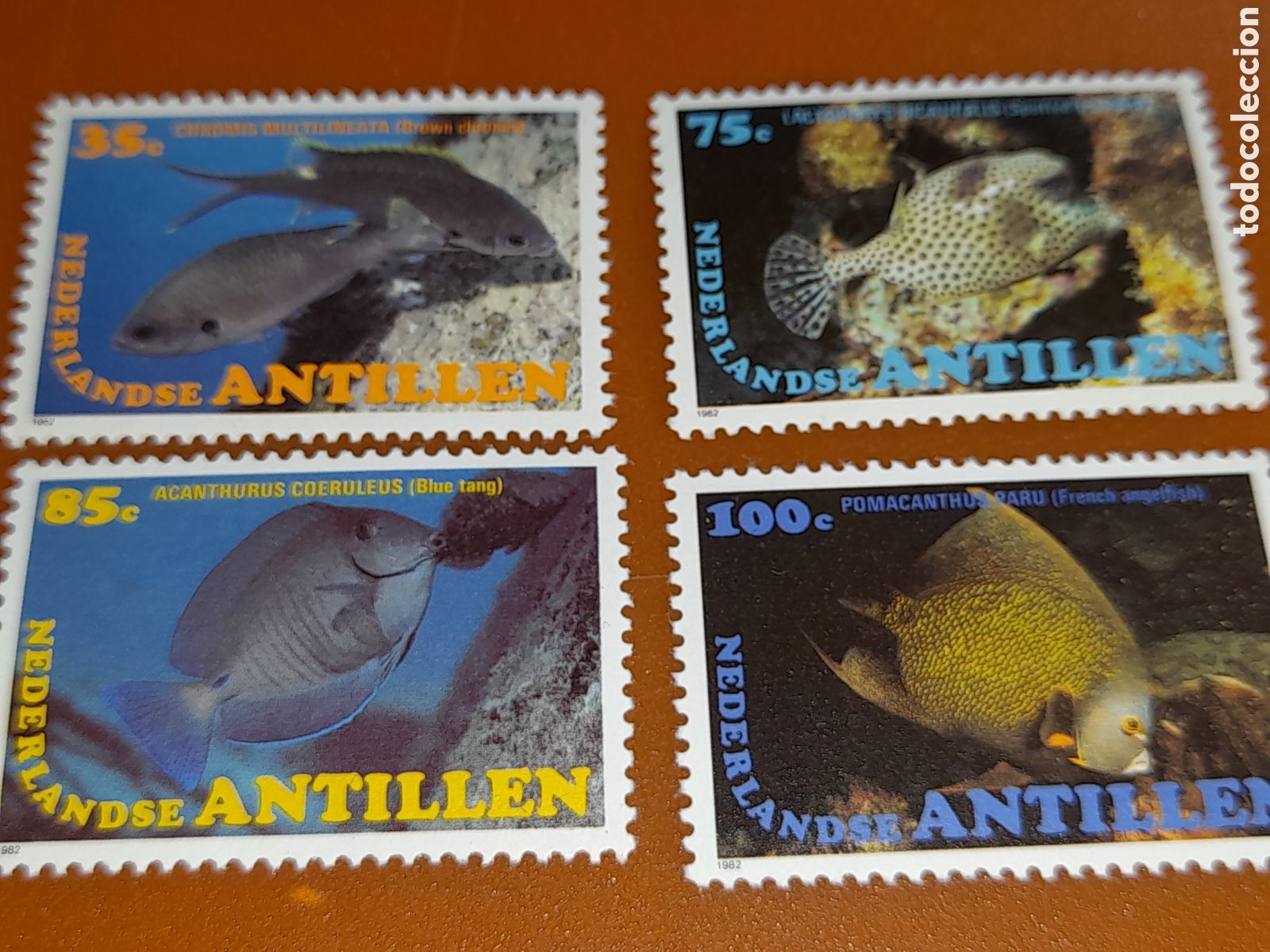 Sellos: Sello Antillas Holandesas nuevo 1982. Peces. Pescado. Fauna, vida marina. Arrecife. Globo.