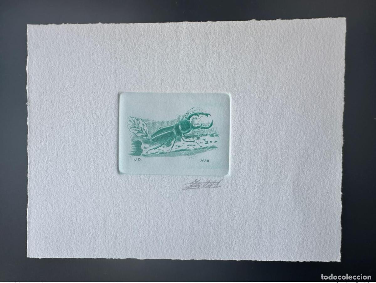 Sellos: B&eacute;lgica 1996 COB 2632 Cometa FDC Insecto Lucane hecha a prueba de artistas