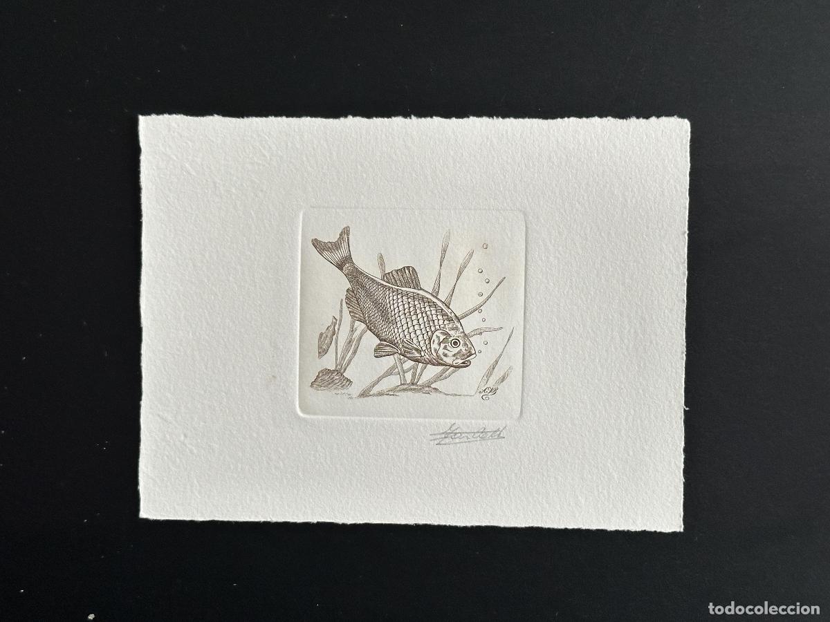 Sellos: B&eacute;lgica 1990 COB 2385 Prueba art&iacute;stica FDC Poisson Fish Fisch Brown Duck