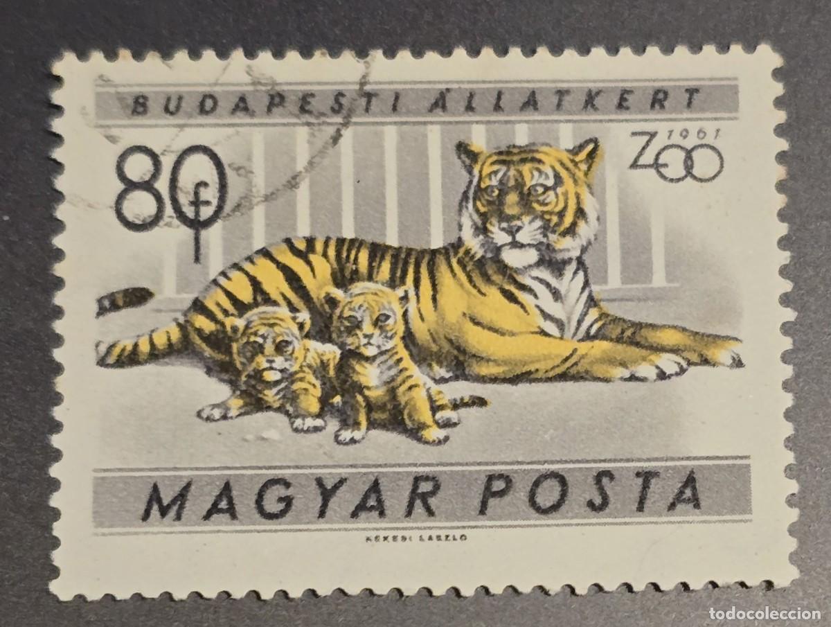 Sellos: SELLO HUNGRIA 1961 FAUNA TIGRE