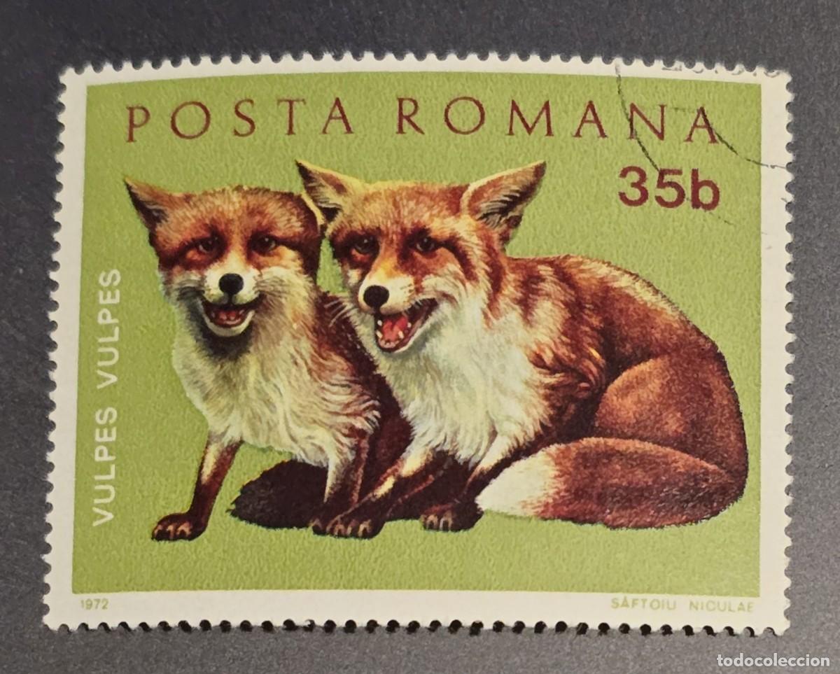 Sellos: SELLO RUMANIA 1972 FAUNA ZORRO
