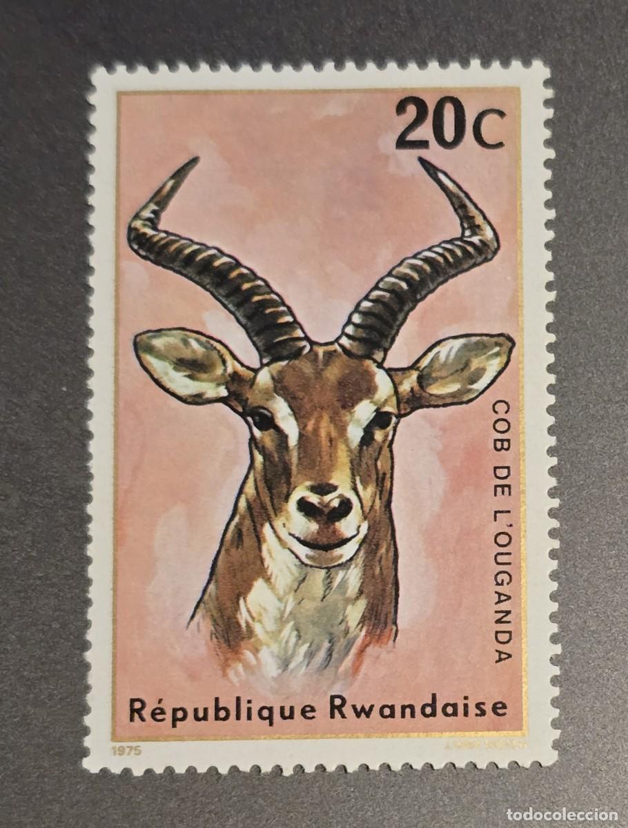 Sellos: SELLO RUANDA 1975 FAUNA (Kobus kob thomasi)