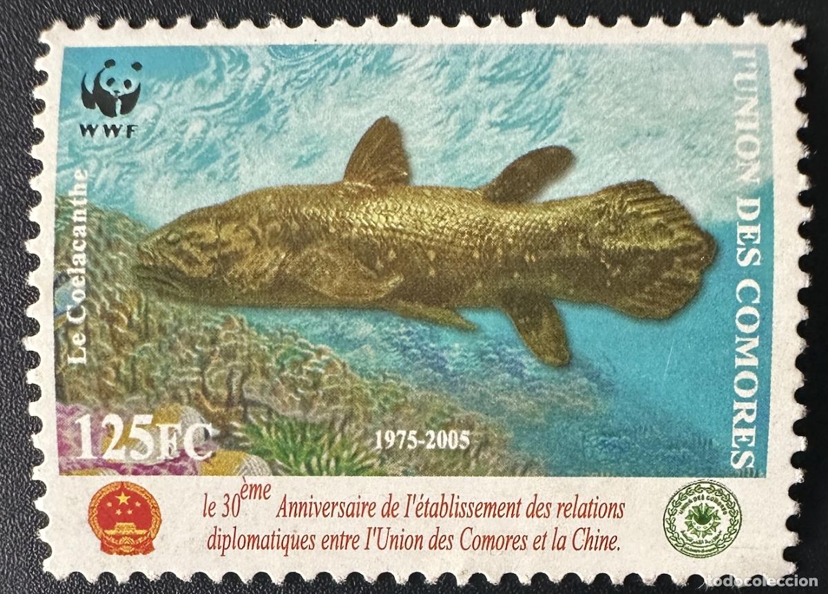 Sellos: Comoras 2005 Mi. 1798 Relaciones con China WWF Coelacanth Fish Emisi&oacute;n conjunta
