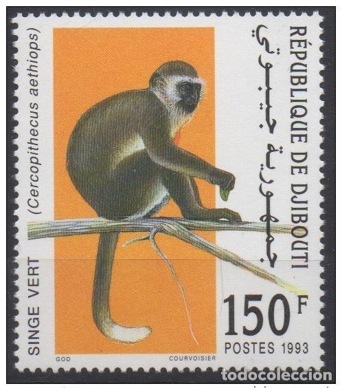Sellos: Yibuti 1993 Mi. 582 ** nueve MNH Mono verde Affe Fauna &iexcl;RARA!