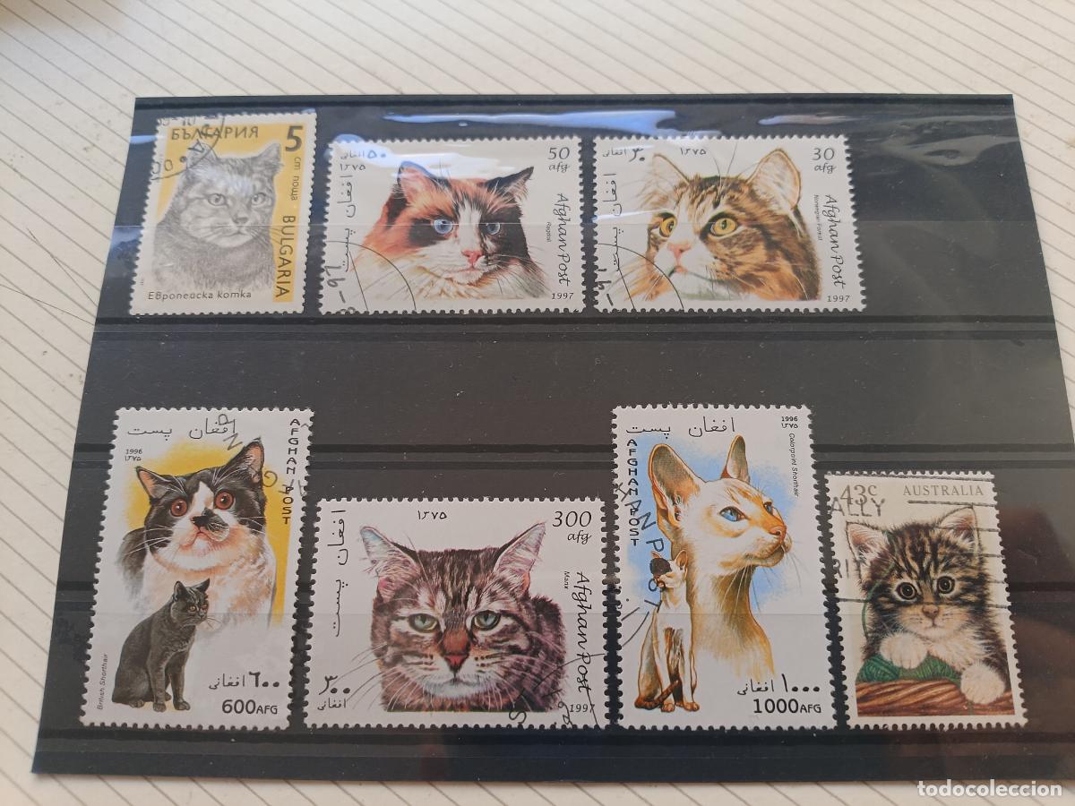 Sellos: Fauna. Lote de sellos. Gatos