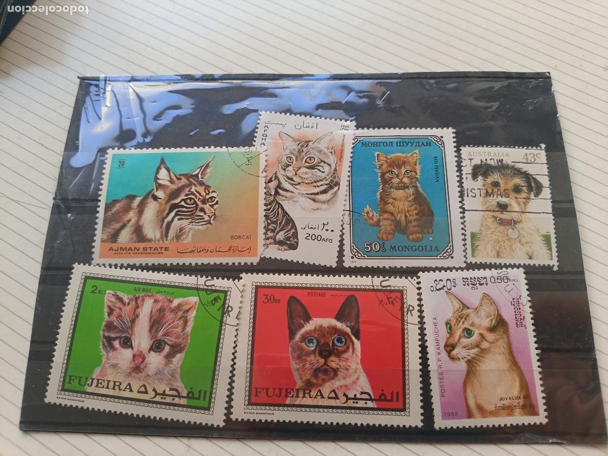 Sellos: Gatos. Fauna. Lote de sellos