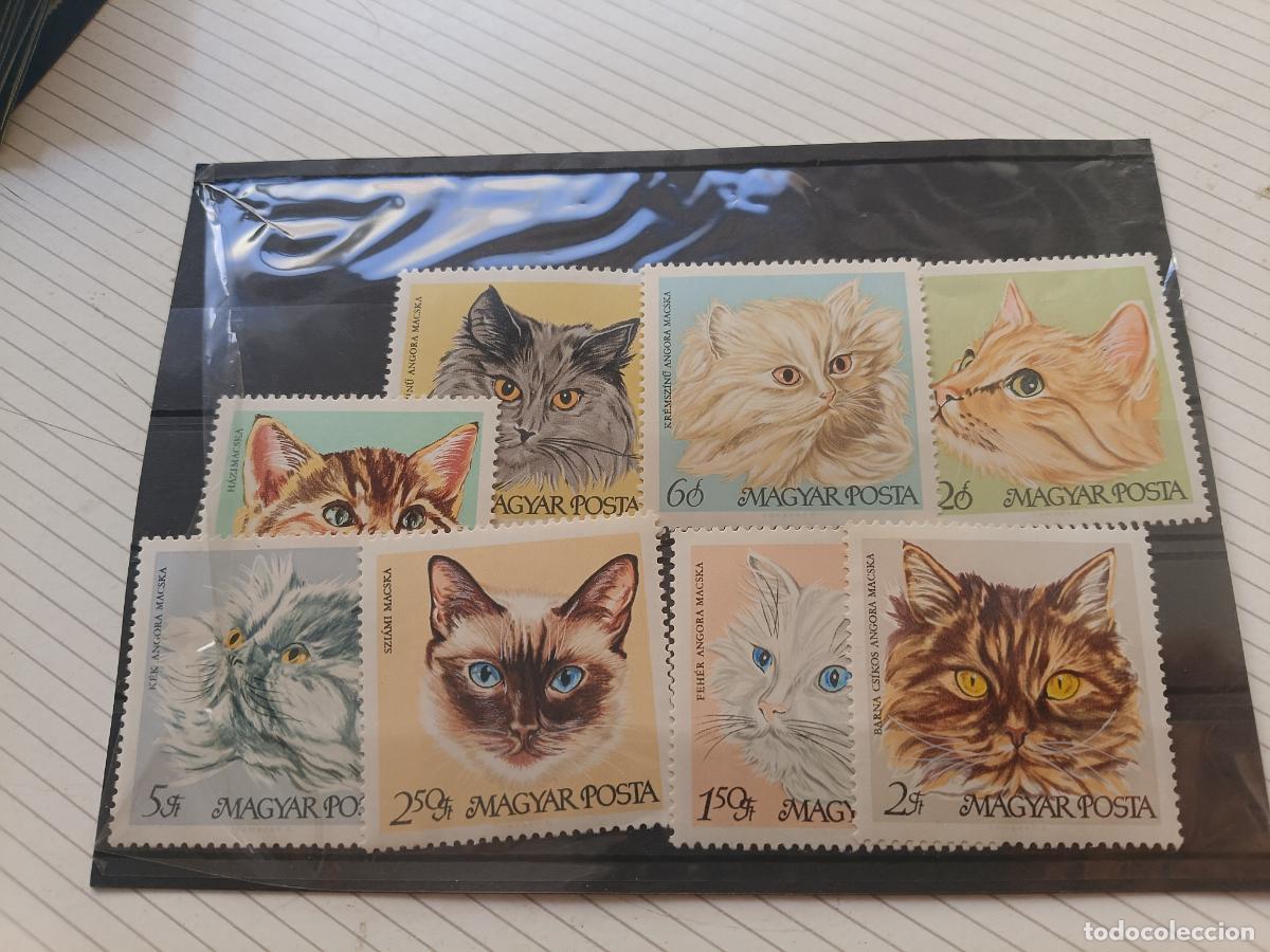 Sellos: Gatos. Fauna. Lote de sellos