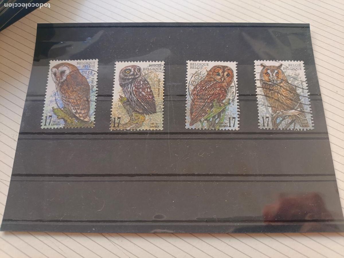 Sellos: B&eacute;lgica. 4 sellos. Fauna, aves, b&uacute;hos