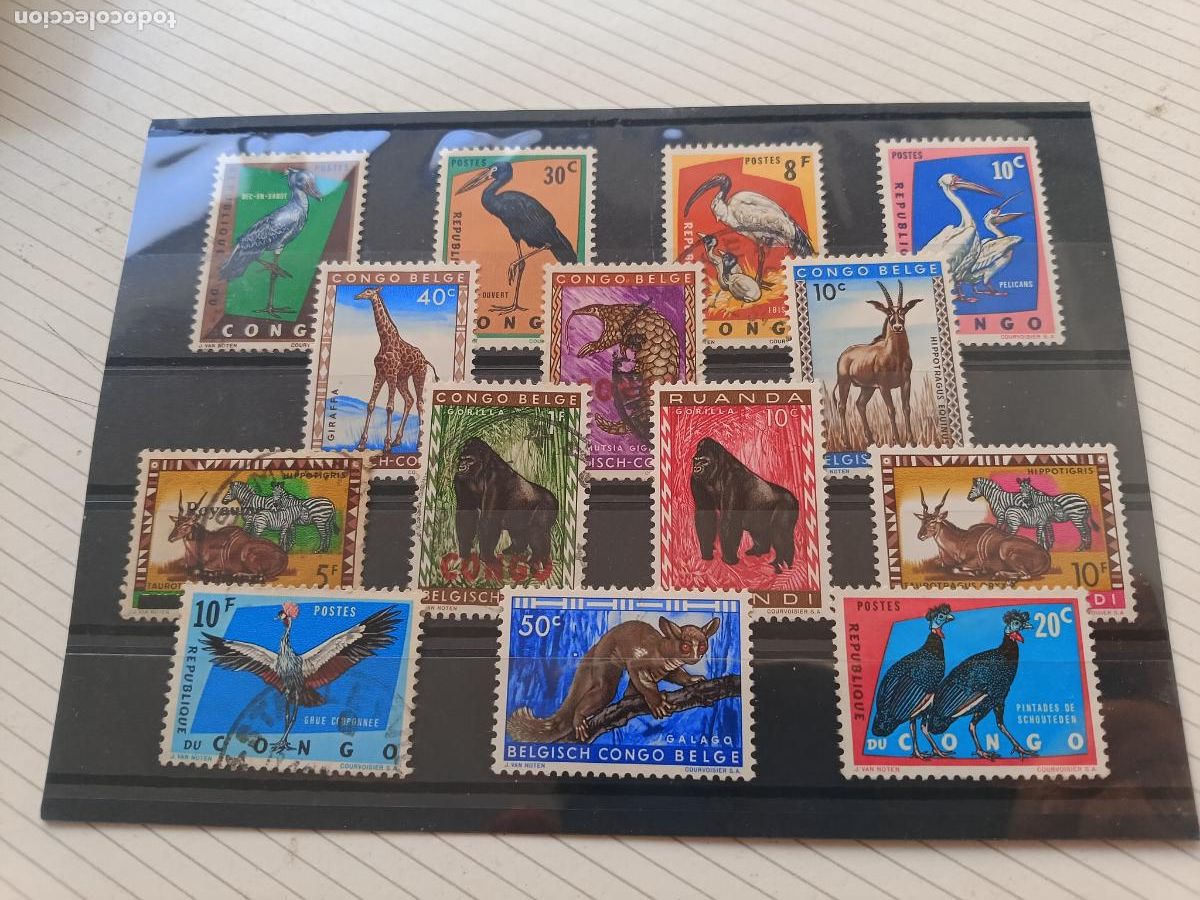 Sellos: Congo belga. Lote de sellos de fauna