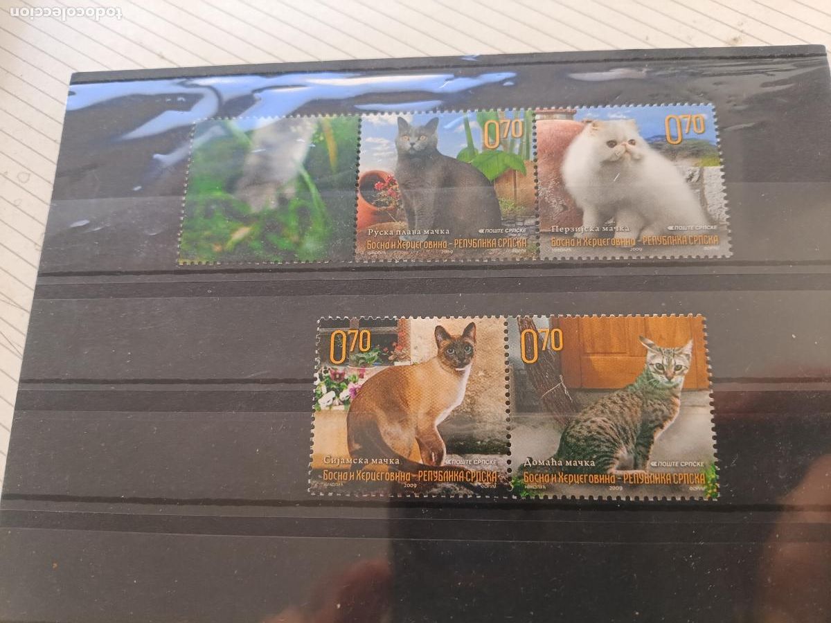 Sellos: Kirgistan. 4 sellos de gatos nuevos. 2009. Lote de sellos de fauna