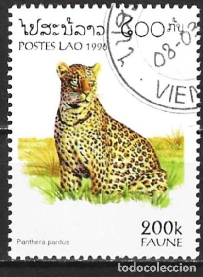 Sellos: Laos 1996 - Mi 1506 - YT 1214 - Leopardo