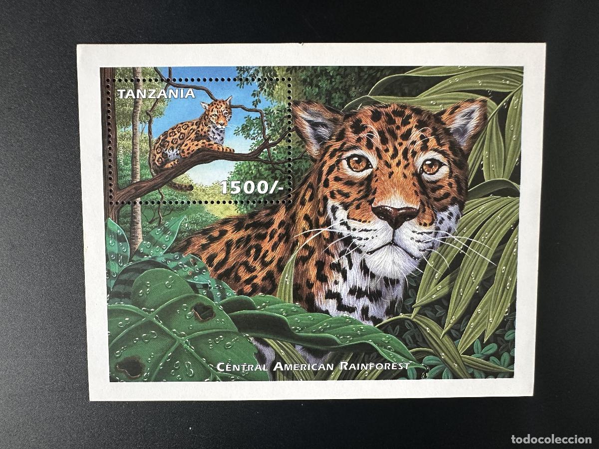 Sellos: Tanzania 1999 Mi. Bl. 513: Jaguar leopardo felino fauna selva felinos bosque