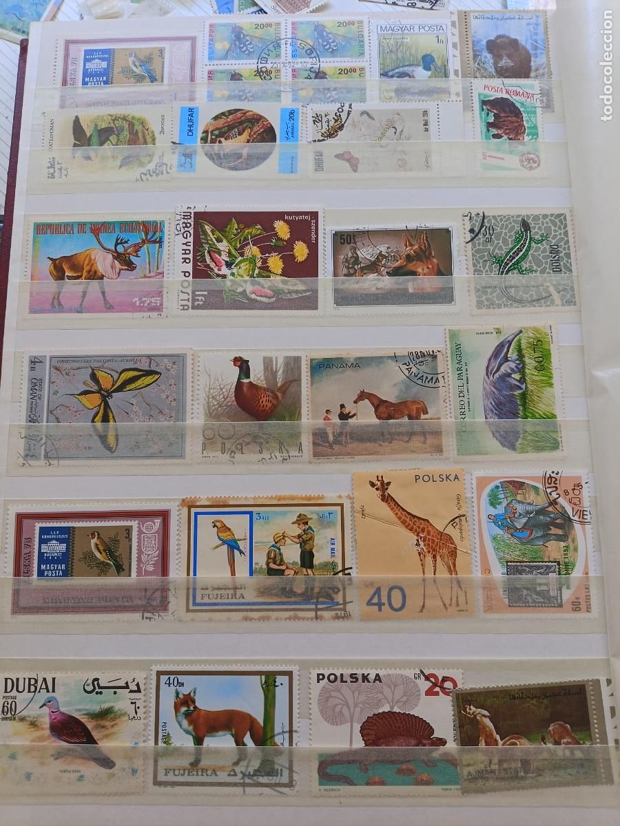 Sellos: Lote de sellos de FAUNA