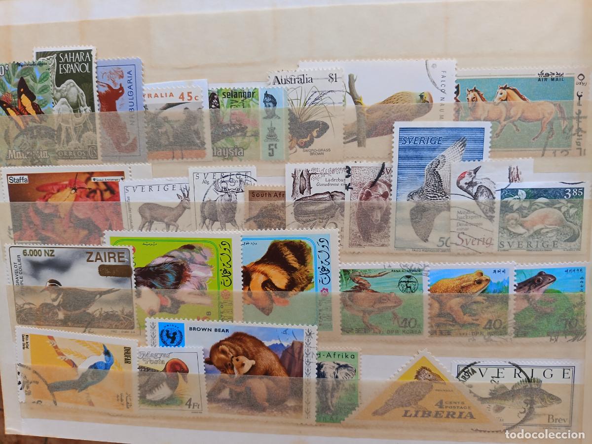 Sellos: Lote de sellos de fauna