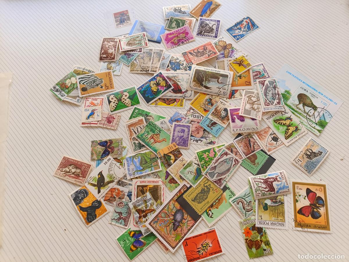 Sellos: Lote de sellos 100 sellos de fauna