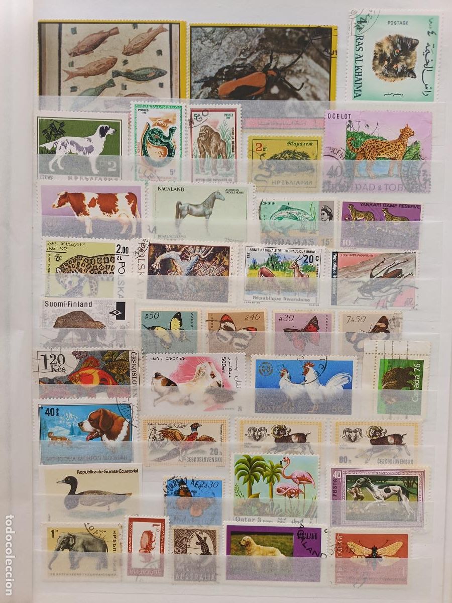 Sellos: Lote de sellos 51 sellos de fauna