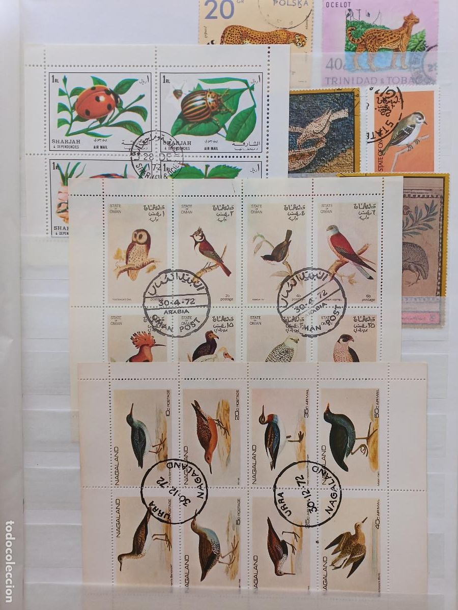 Sellos: Lote de sellos 25 sellos de fauna