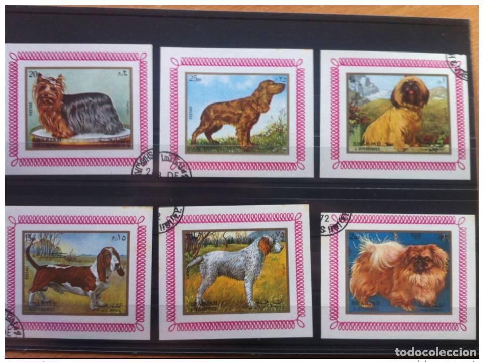 Sellos: Bloques de l&aacute;minas SHARJAH Serie 6 CHIEN CHIENS DOG H&Uuml;NDE usados