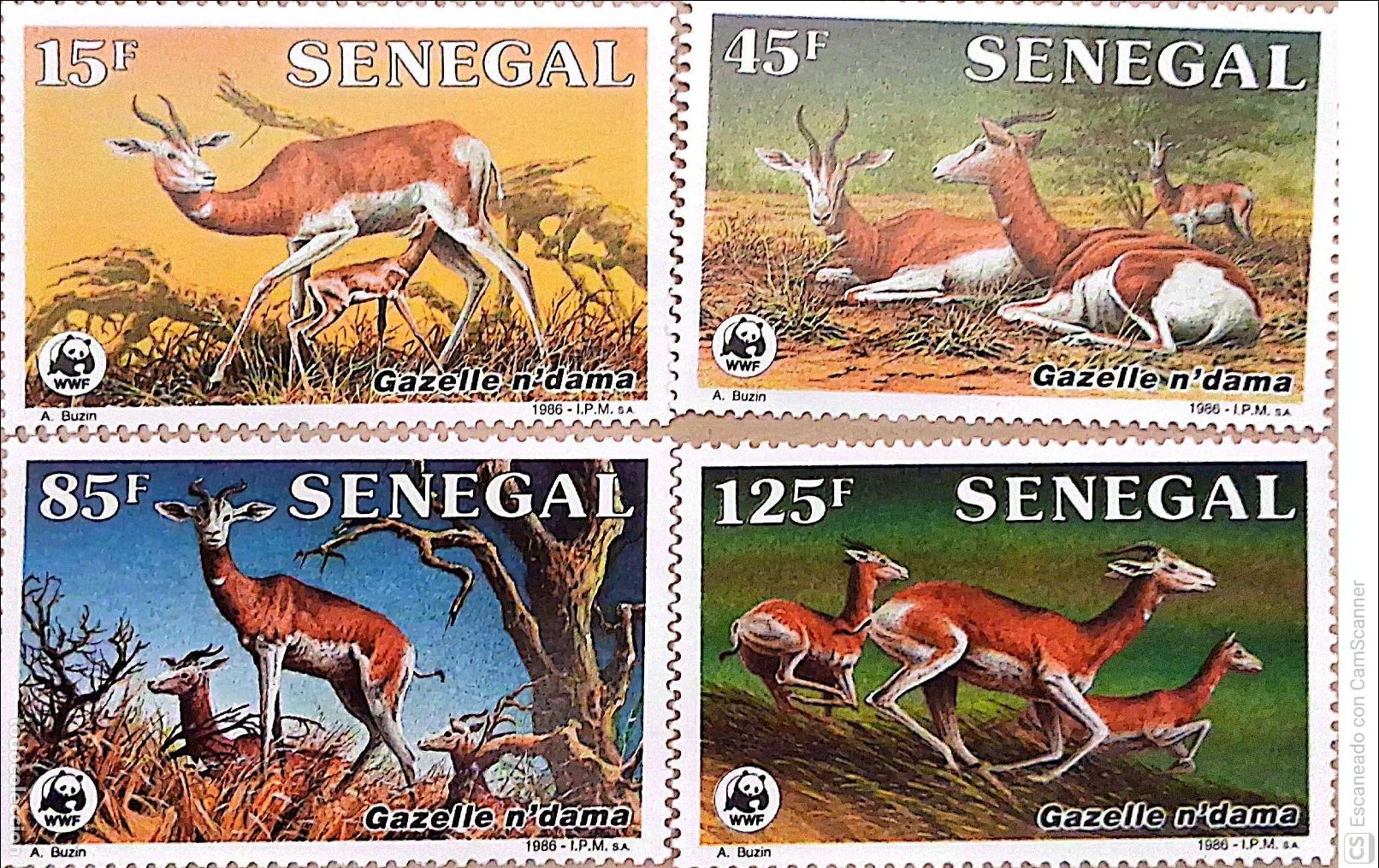 Sellos: Senegal. 661/64 Protecci&oacute;n de la naturaleza: Gacela Dama. 1986. Sellos nuevos y numeraci&oacute;n Yvert.