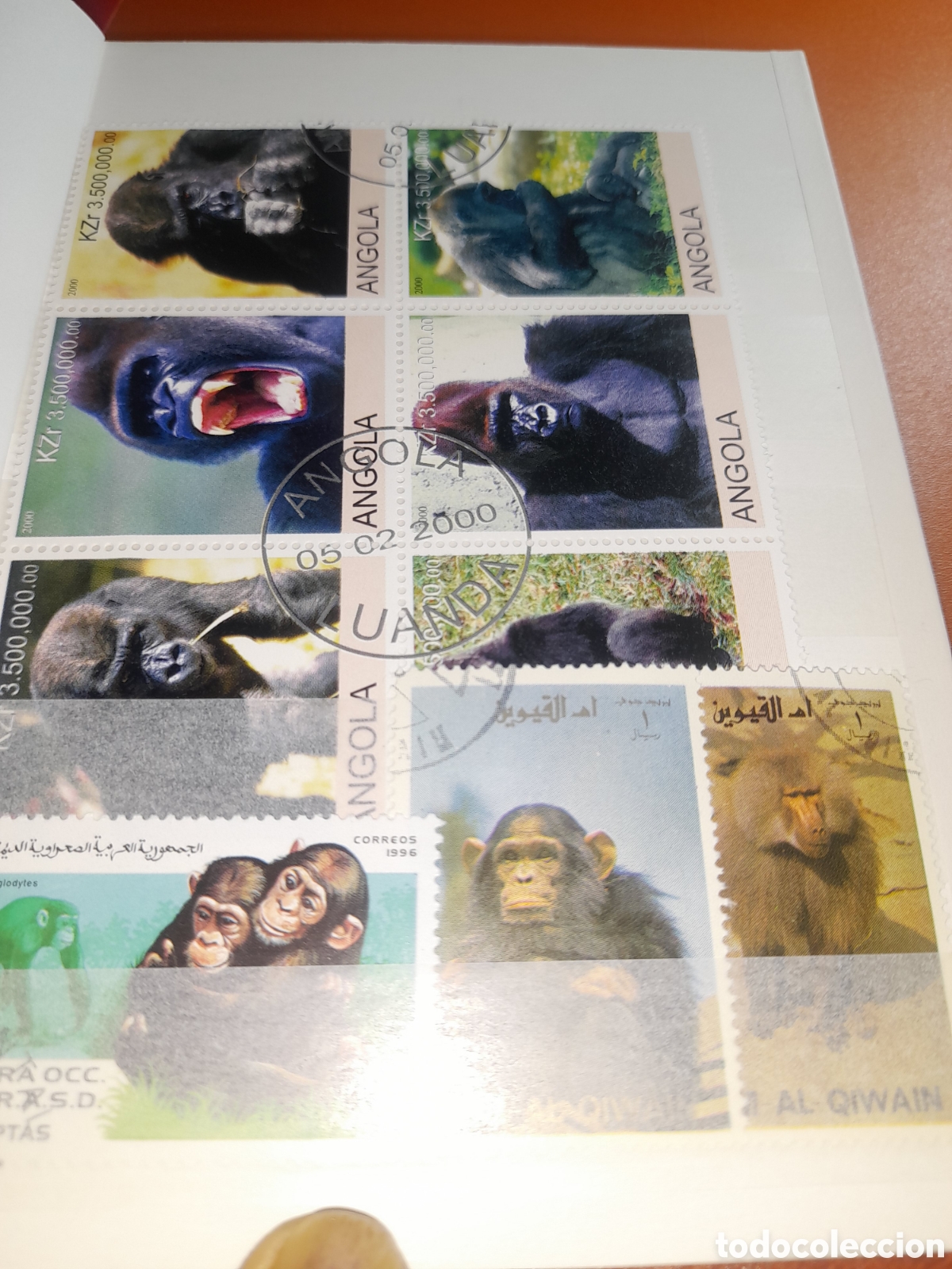 Sellos: Sello, Mini - Clasificador. Tem&aacute;tico, Simios. Chimpanc&eacute;, monos. Fauna. Animales salvajes. Mam&iacute;feros
