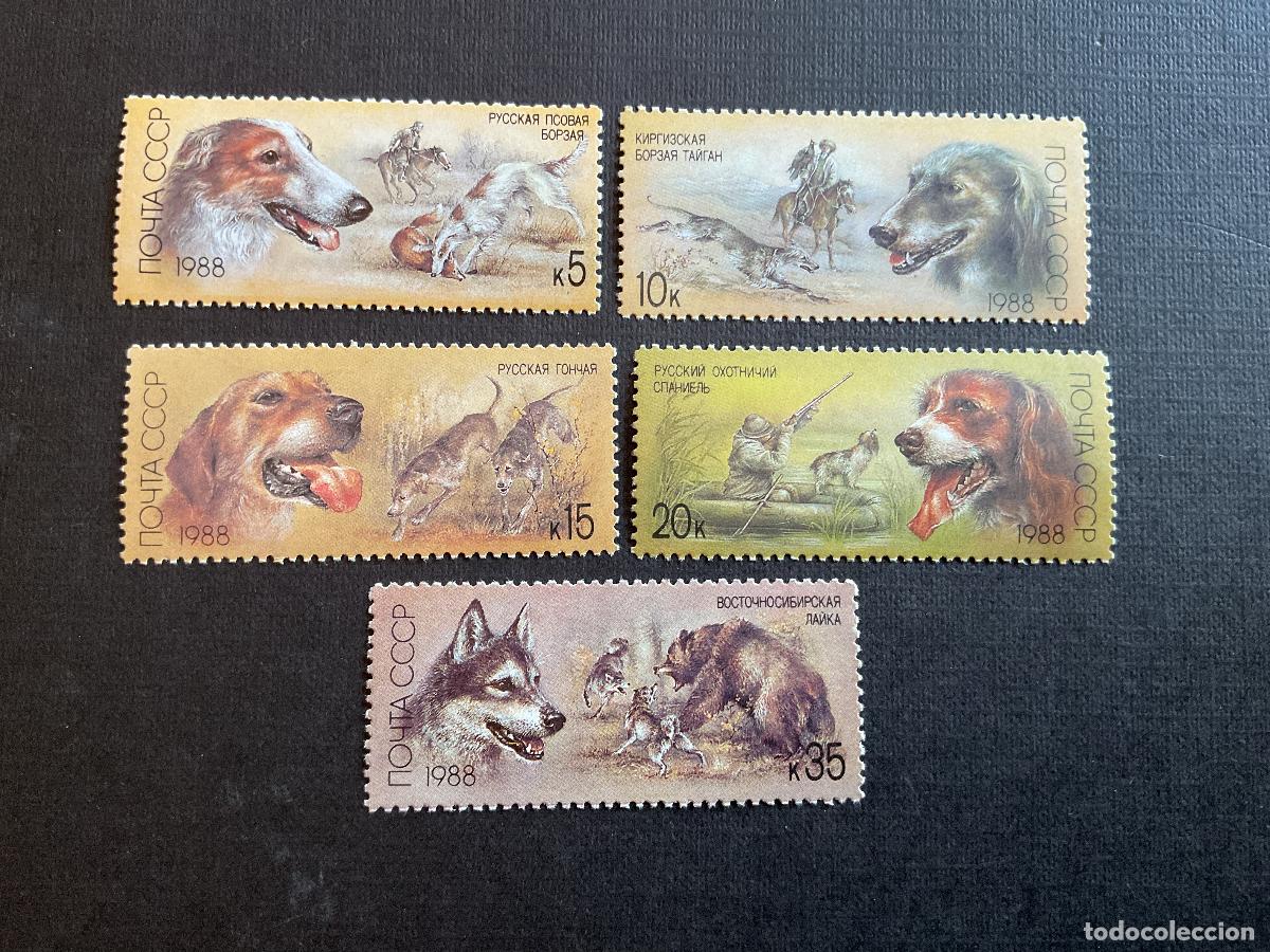 Sellos: RUSIA N&ordm; YVERT 5511/5*** A&Ntilde;O 1988. PERROS DE CAZA
