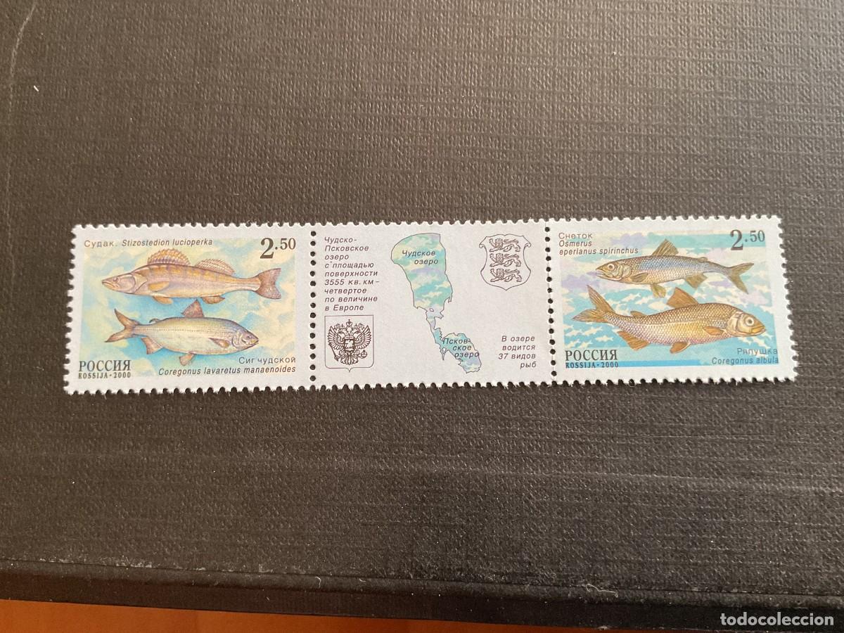 Sellos: RUSIA N&ordm; YVERT 6509/0*** A&Ntilde;O 2000. PECES DEL LAGO CHUDSKO-PSKOVSKOYE. EMISION CONJUNTA CON ESTONIA